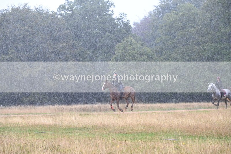 DSC_3102 - Time at Statue 12:59 to 13:49