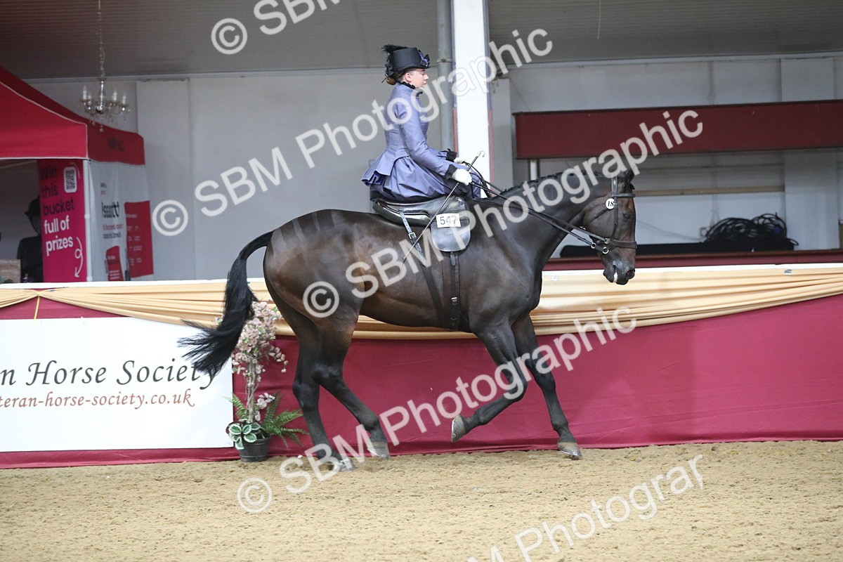 SBM_11546 - Class 105 Ridden Costume- Side Saddle
