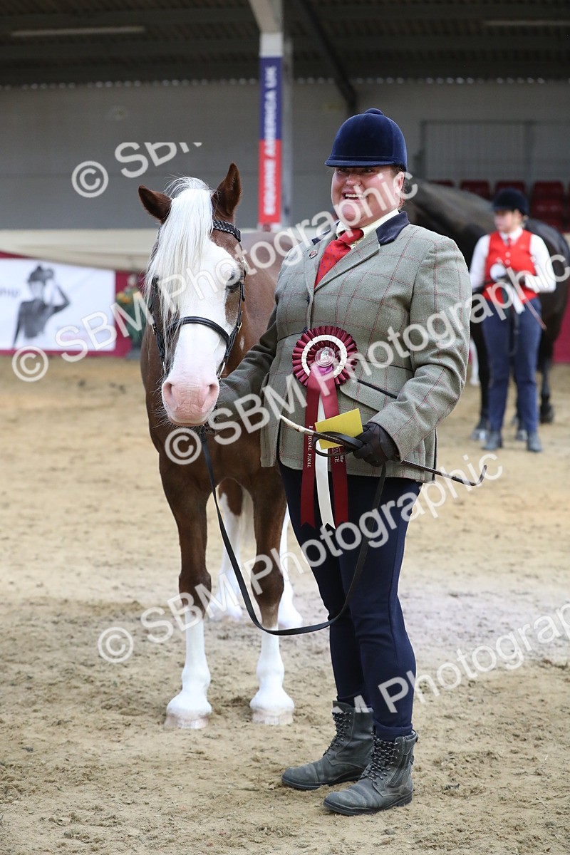 SBM_06466 - Class 9R Regional- IH Pre Vet