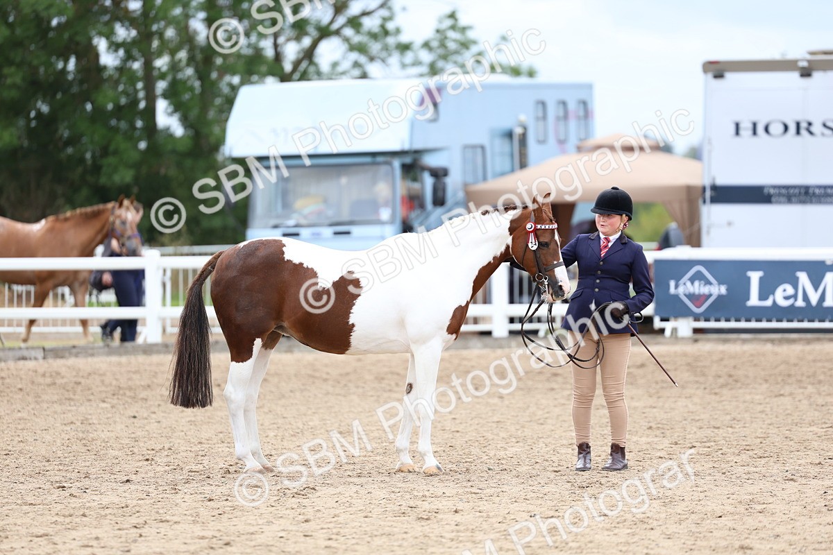 SBM_05893 - Class 29 - IH Veteran Pony