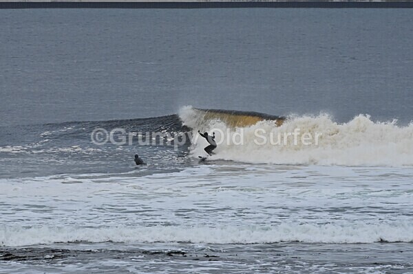 DSC_8806 - Thurso 6th November 2022