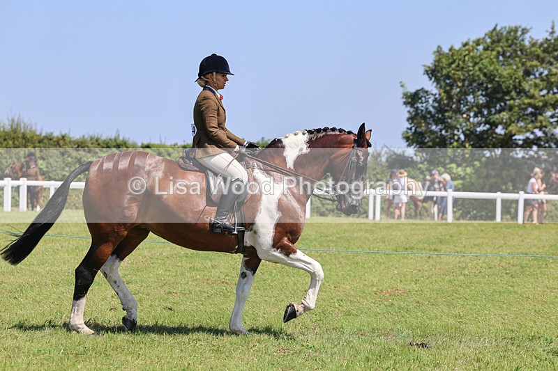 IMG_2314 - Class 38: Veteran Ridden
