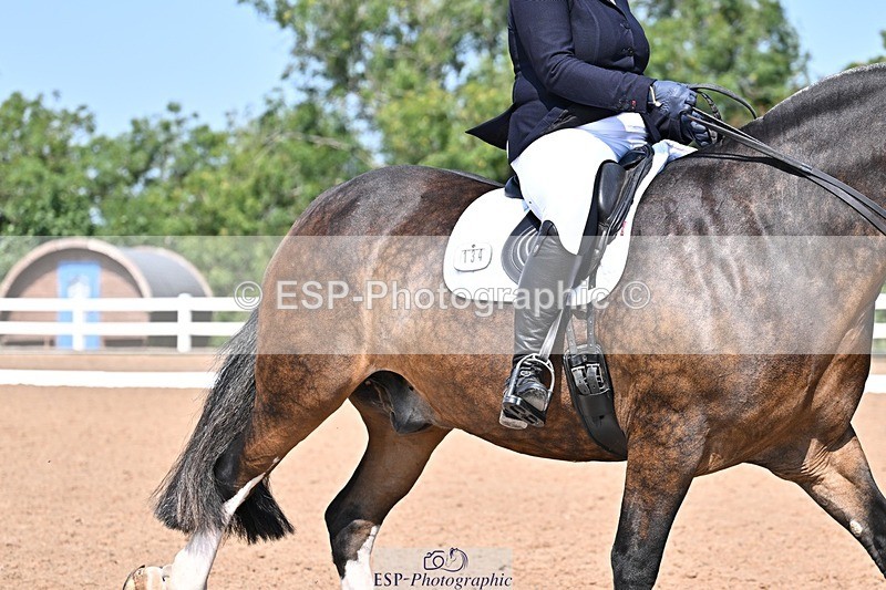 250816-121003-03936 - 134-Abby.HayesRathnagrew.Pride