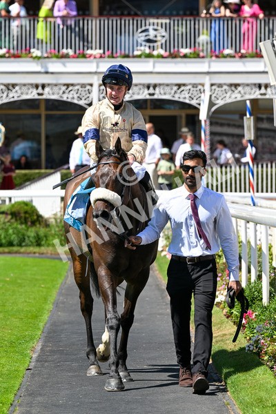 120725-Race 2-Washington Heights-0168 - Race 2 2.35pm John Smith's City Walls Stakes