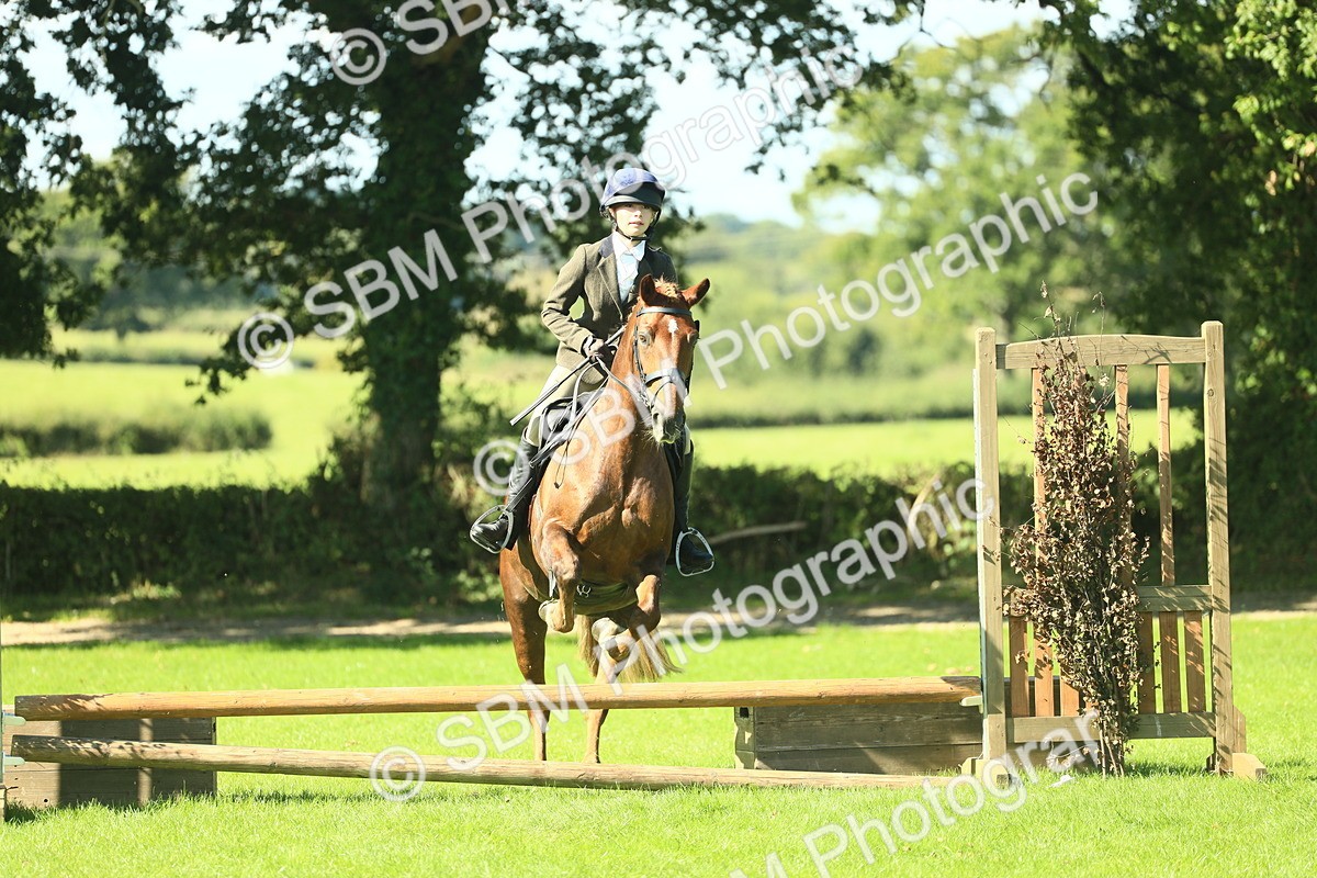 SBM_39158 - S29 - Novice & Newcomers Working Hunter Pony