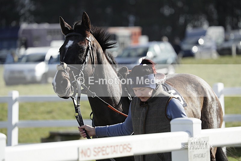 PtP 260223 678 - South & West Wilts Point-to-Point Larkhill 26/02/23