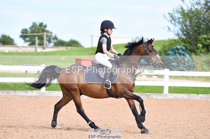 230718A-161202-00046 - 60cm