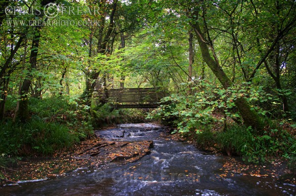 footbridge-over-euchan-wate - Traditional Landscapes