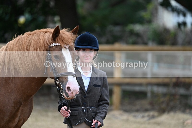 WJ7_8219 - Class 4 Prettiest Mare up to 14.2hh
