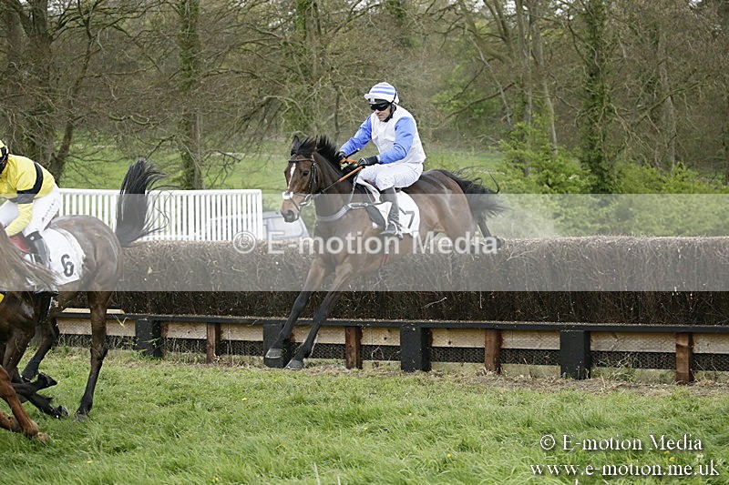 PtP 170417 517 - Old Berks Point-to-Point Lockinge 17/04/17