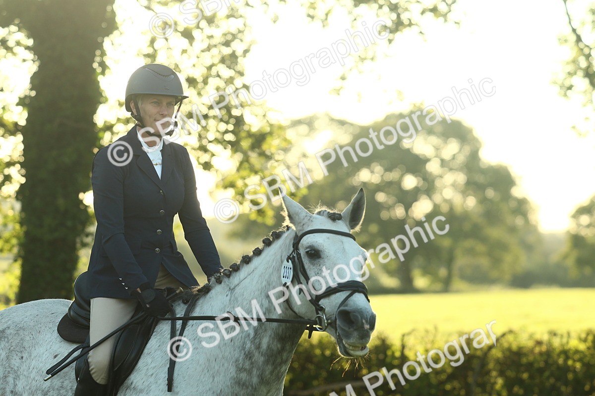 SBM_55596 - S14 - Riding Club Horse