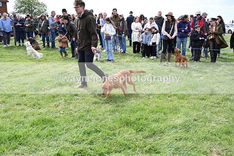 WJ6_8302 - Class 4 Prettiest Bitch