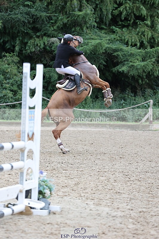 250705A-113936-14113 - Cls 34 4 Year Old Qualifer