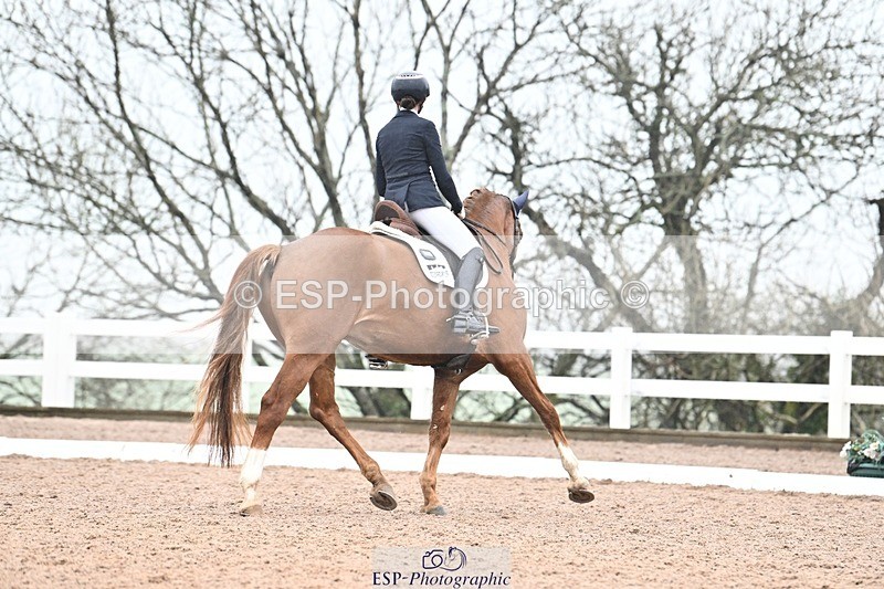 250215-113018-03194 - 257-Beth.Bainbridge-NEWTON.GLOVETROTTER