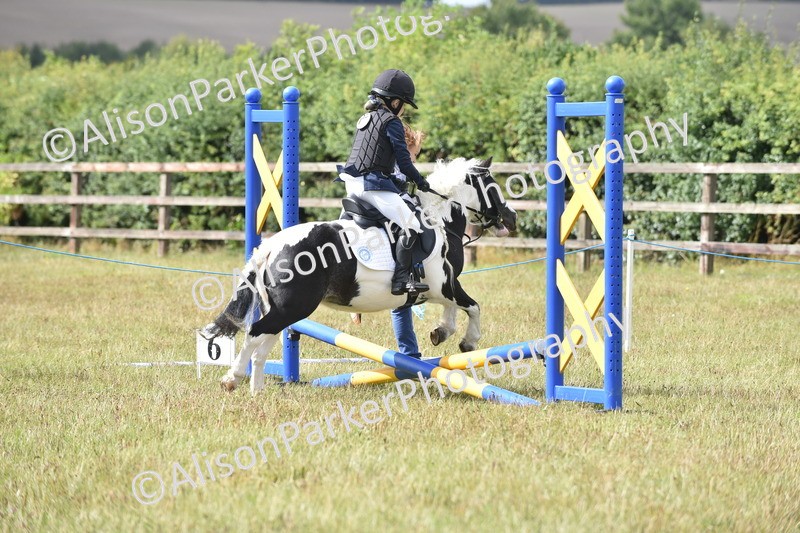 20250831-1815 - Class 8 - Hoof and Foot