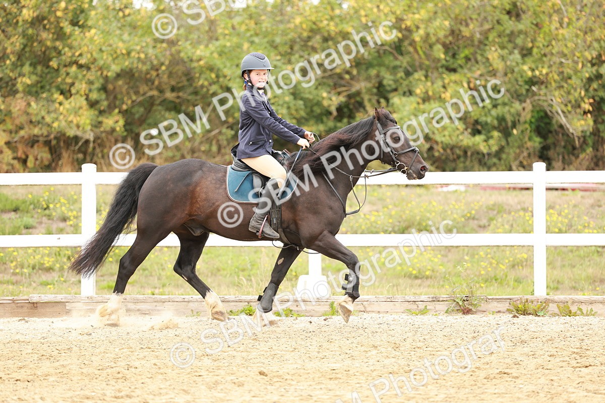 SBM_007400 - Class 2 - 50cm