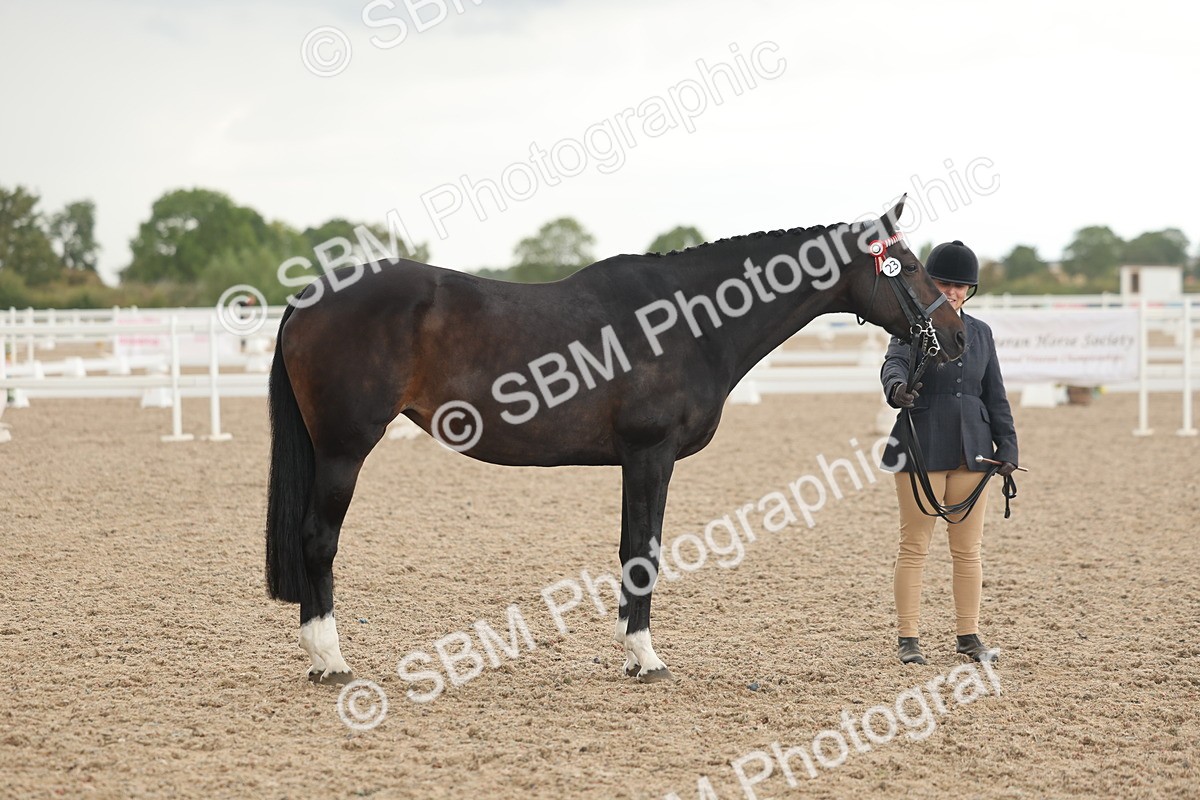 SBM_07675 - Class 26 - IH Foreign Breeds - Part Bred
