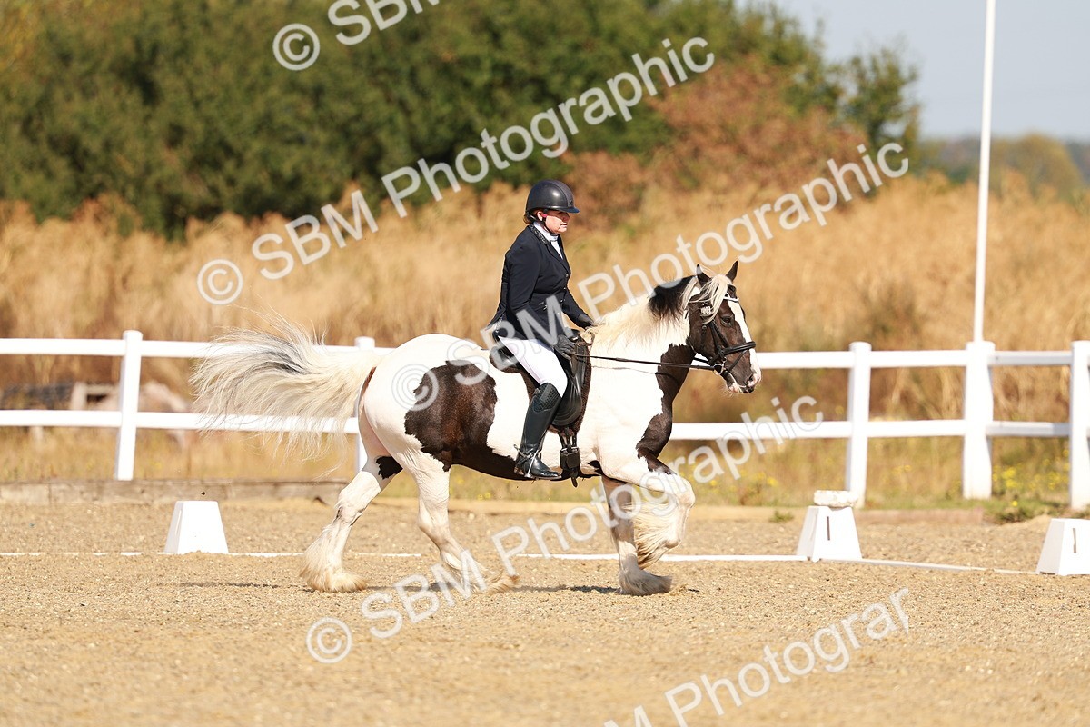 SBM_016745 - Class 9 - N5 Bronze 9.30.10.19