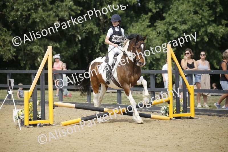 20250622-3880 - 50cm