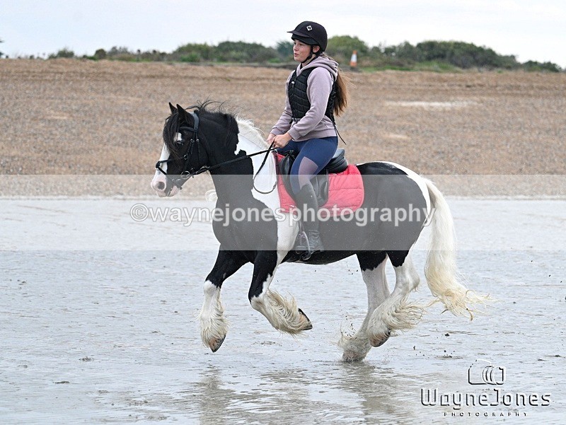 WJ7_8807 - Hayling Island Beach Shoot 22-09-24