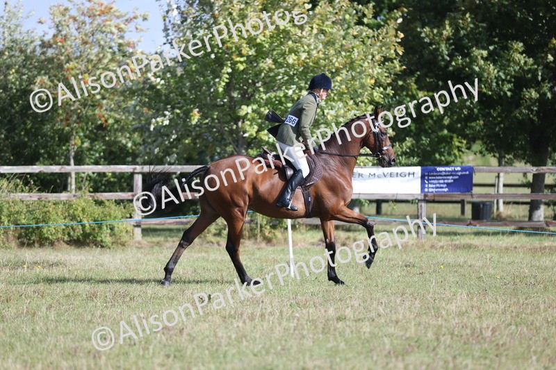 20250831-0844 - Class 14 - Ex Racehorse