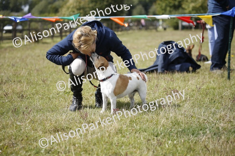 20250831-3672 - Dog Show