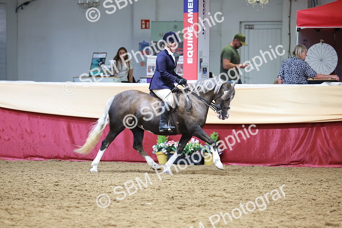 SBM_18633 - Class 952 - M&M Ridden Supreme Final