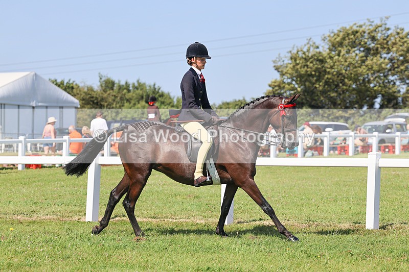 IMG_1889 - Class 33: Show Pony 148cm and under