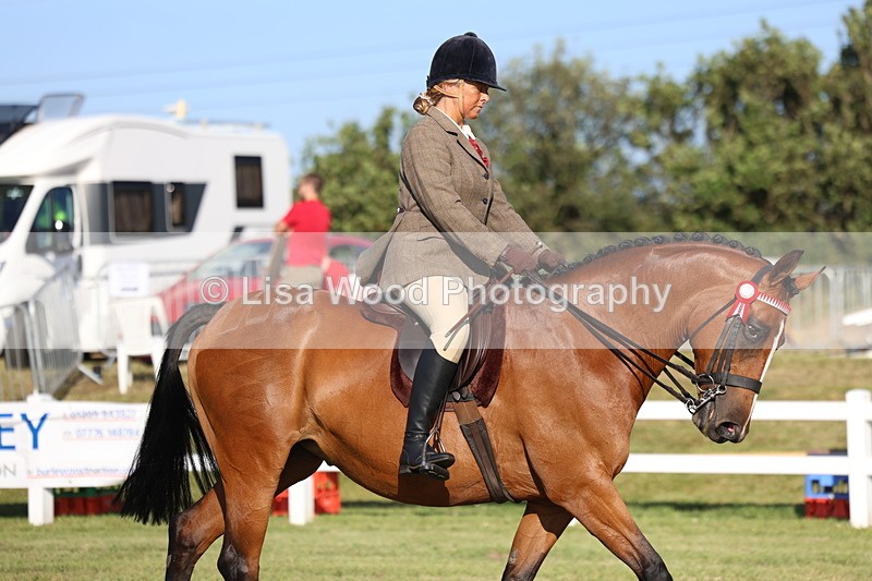 3E7A4899 - Class 1: Rising Star Small Hack/Riding Horses