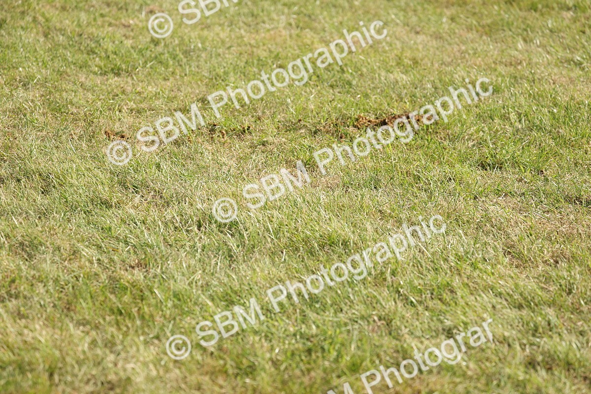 SBM_10224 - Class 33-38 - SSADL RIHS Qualifiers