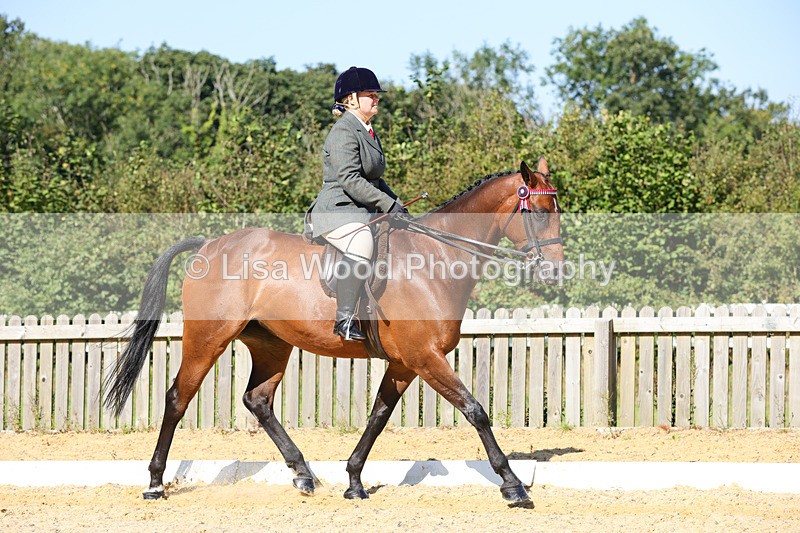 1X9A7850 - Class 10:Riding Horse