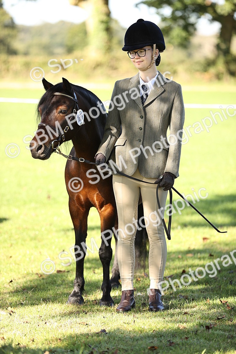 SBM_15808 - S1 - TSR in Hand Horse & Pony Showing