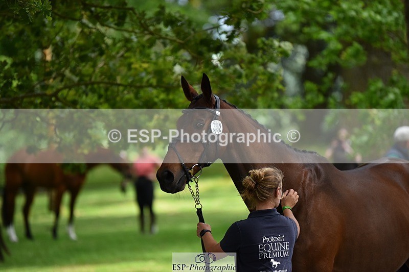 240522-150250-00056 - 302-BGS_LUX_ELECTRIC-Emily_Philp