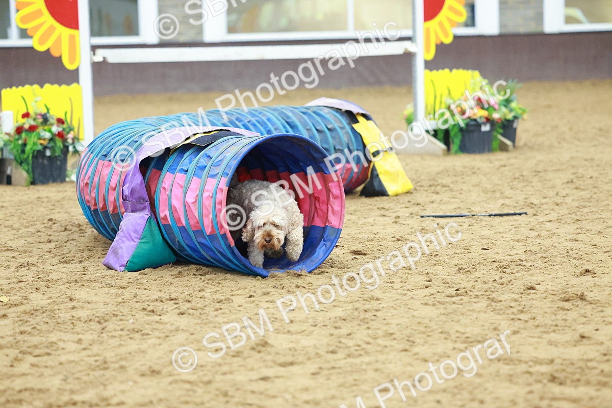 SBM_002355 - Class 3 - Horse & Hound (60cm)