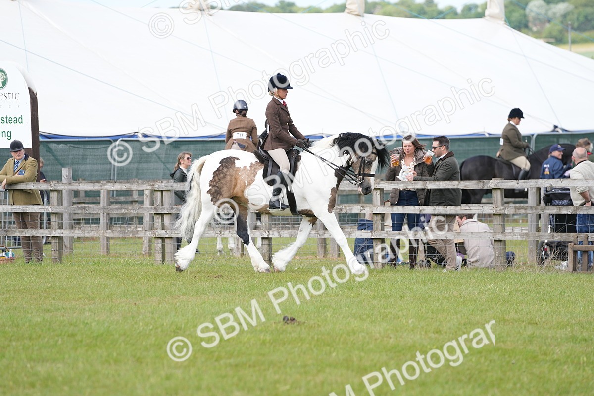 SBM_17220 - Class 107-108 - LIHS BSPS Performance Coloured Horse Pony