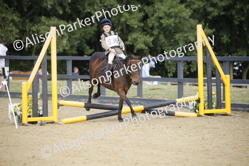 20250622-1599 - 40cm