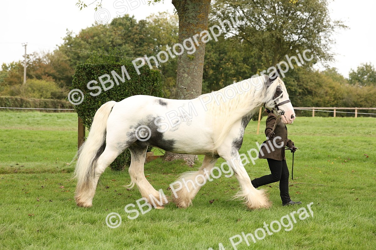 SBM_59299 - S57 - Traditional Cob In Hand