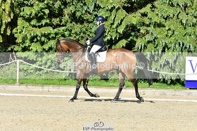 230623-175229-01634 - Cls 8 Medium 73Q