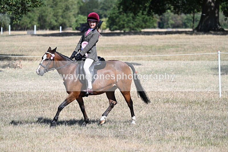 WJ7_4256 - Class 9 Mountain & Moorland Ridden