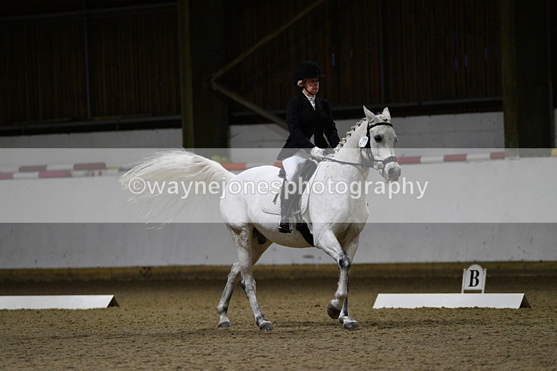 WJ5_8790 - Class 5 Novice Test 3