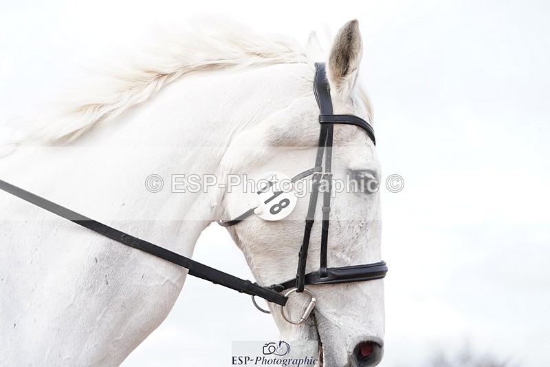 250322-112530-00249 - DR Elementary 1 Test