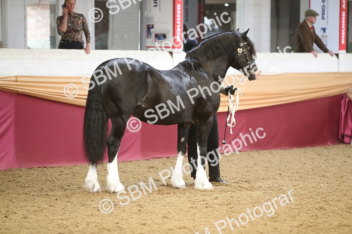 SBM_05293 - Class 8R - Regional IH Veteran
