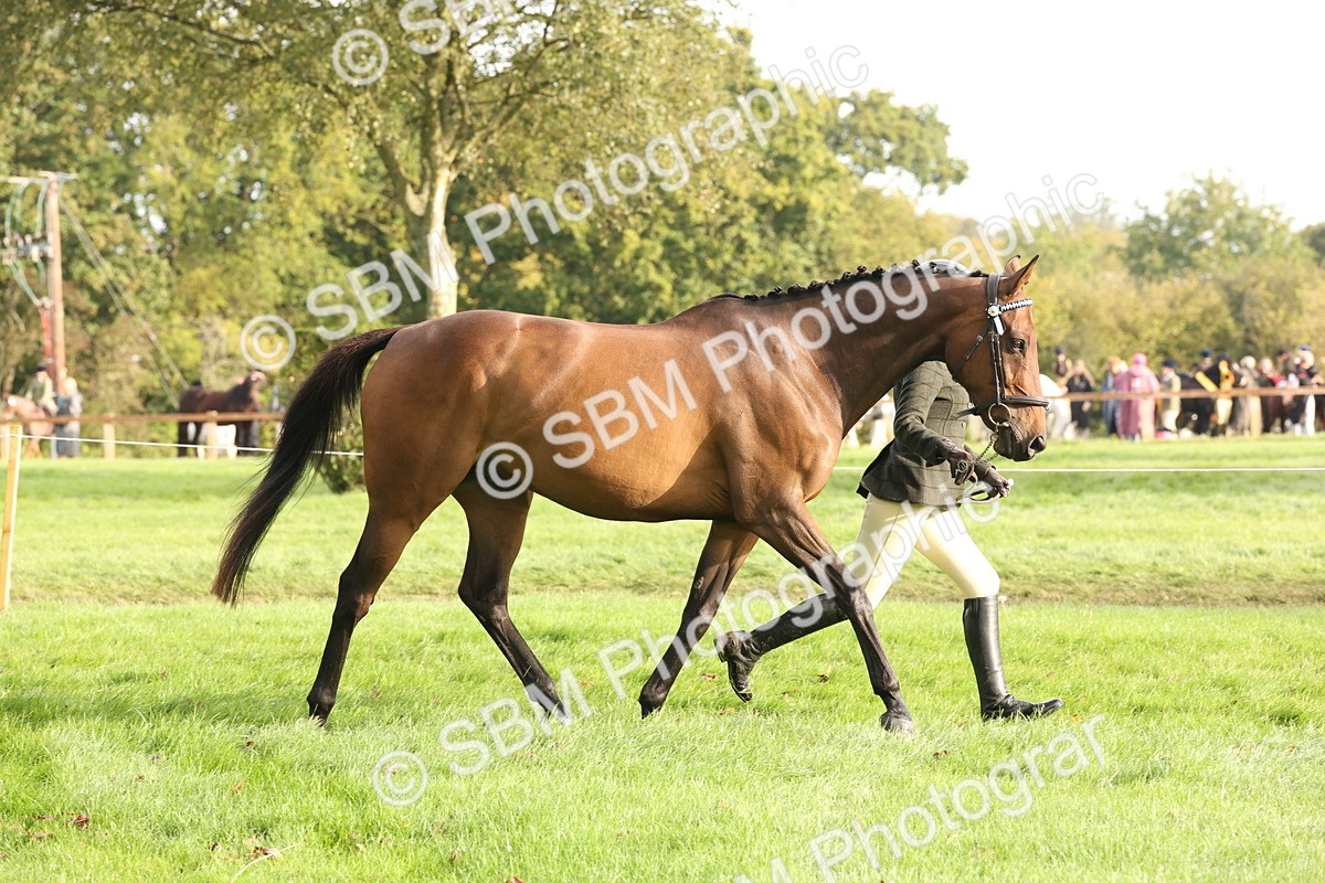 SBM_54677 - S53 - Hunter In Hand