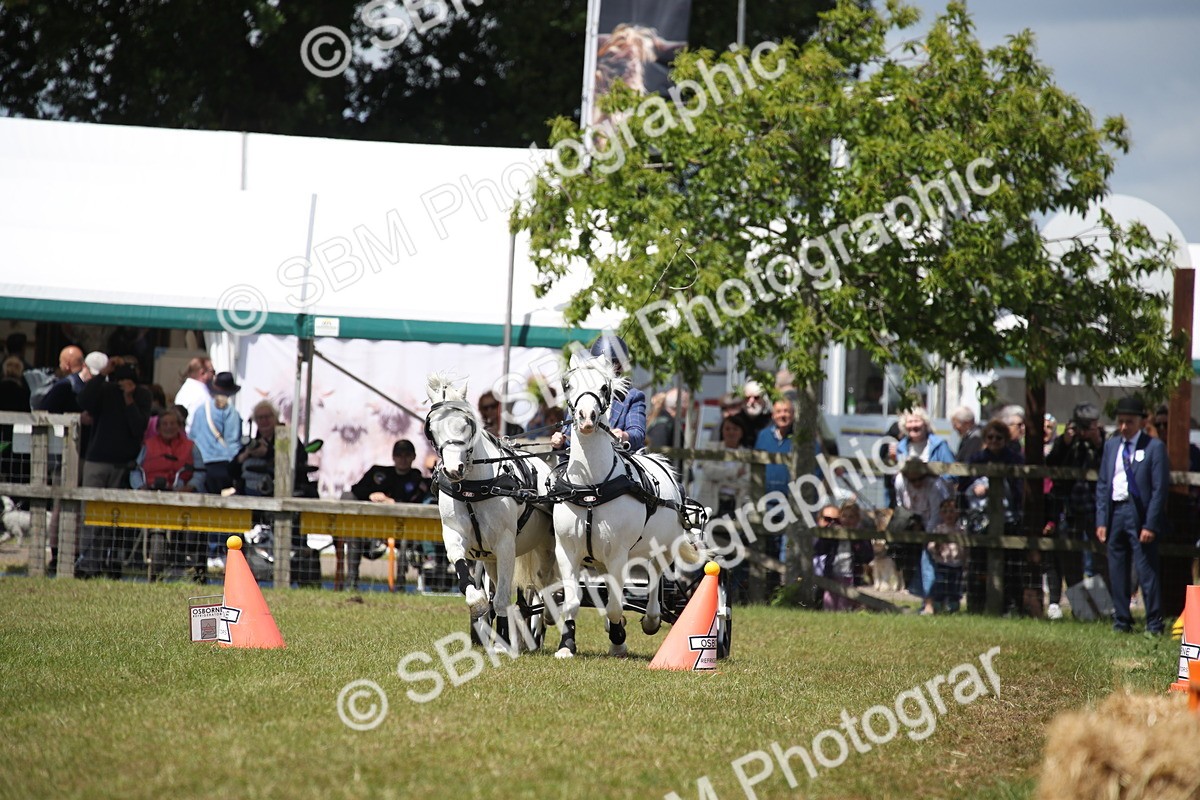 SBM_15365 - Class 90 - Scurry 122cm and Under