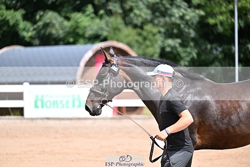 250716-125128-00208 - Trot Up 12.30 to 1.30