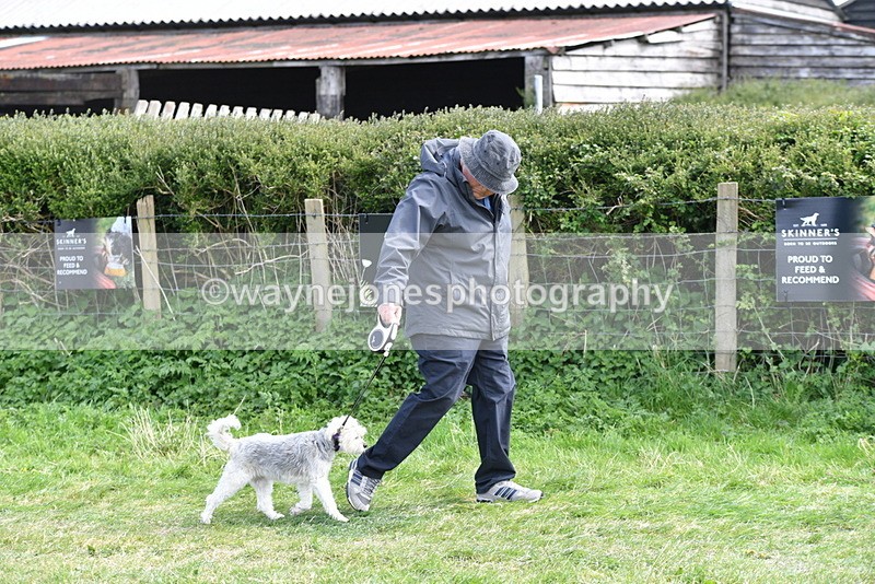 WJ5_0737 - Best in Show Championship
