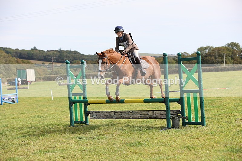 JPP_8792 - Class 2: Trekenning: 80cm Showjumping