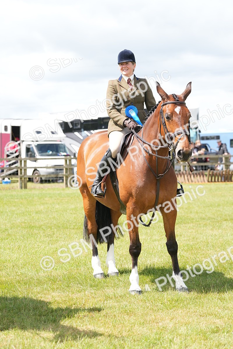 SBM_15061 - Class 100-102 - RIHS Working Hunter