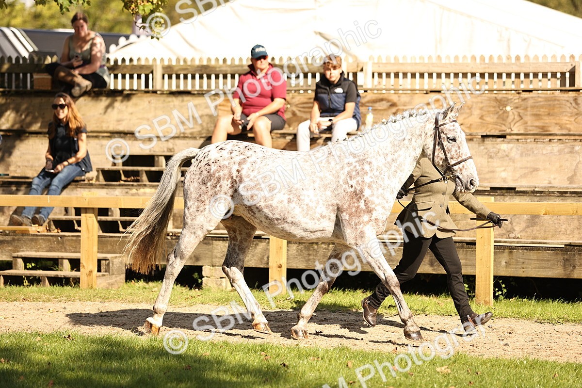 SBM_26159 - S5 - Novice & Newcomers In Hand