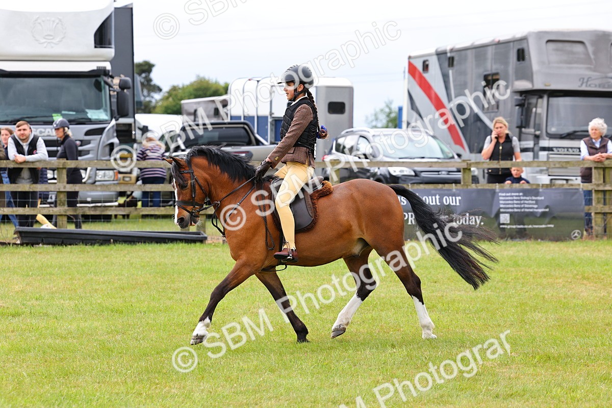 SBM_08609 - Class 42-43 - LIHS BSPS Heritage Working Sports Pony